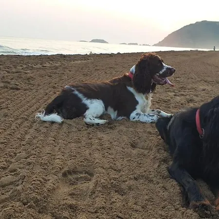 Amplio Piso En La Playa De 135 M2 Con Garaje * Zarautz
